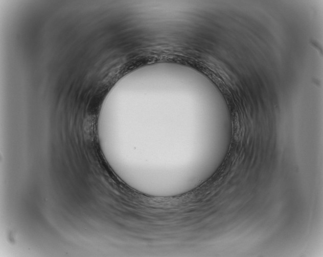 X0000096960034200802080910