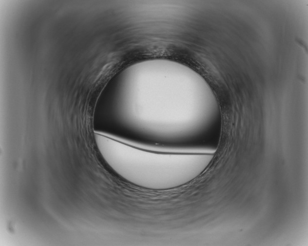 X0000096960035200802080910