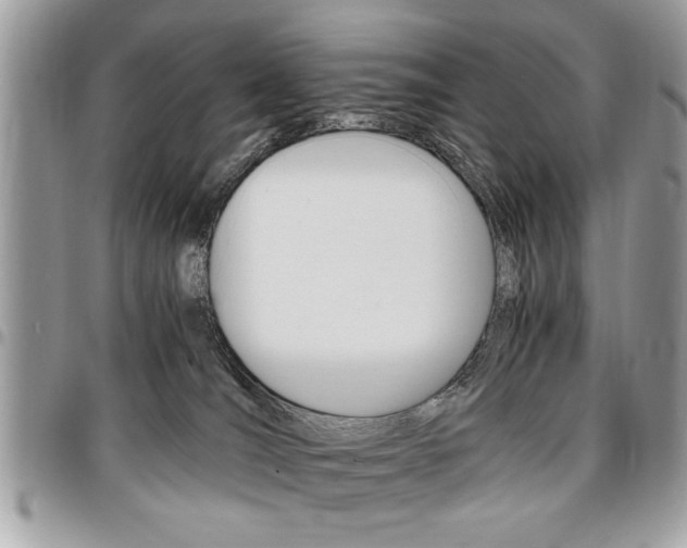 X0000096960036200802080910