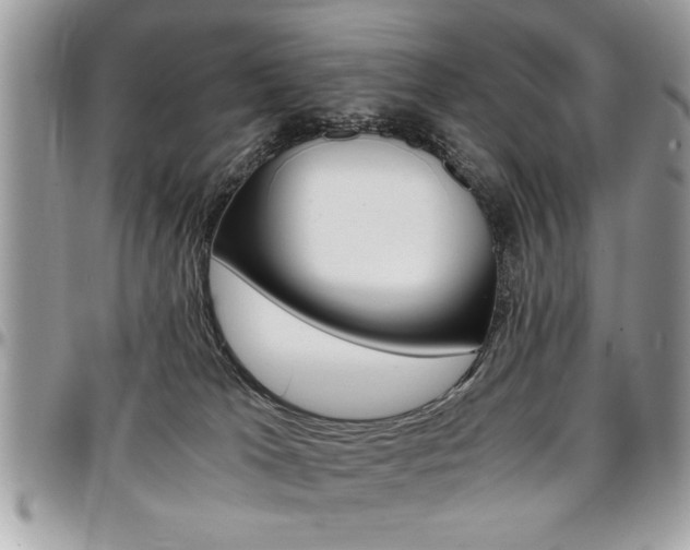 X0000096960037200802080910