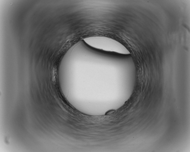 X0000096960038200802080910