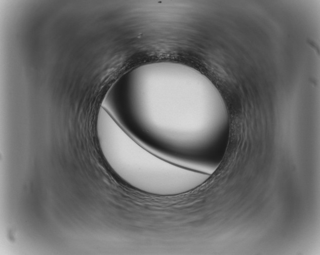 X0000096960039200802080910