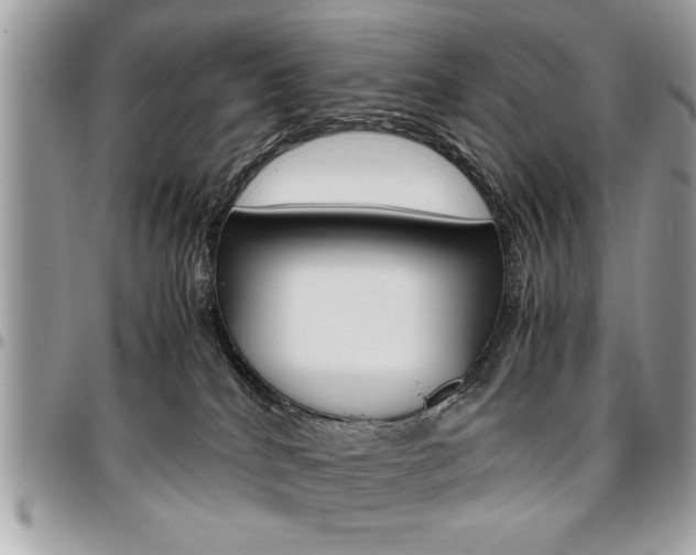 X0000096960040200802080910