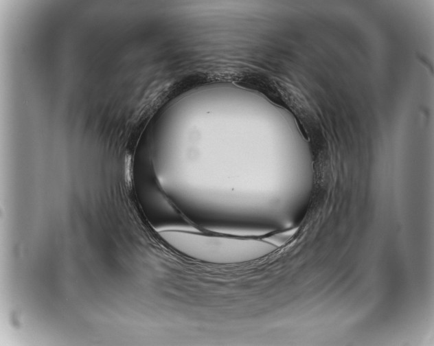 X0000096960041200802080910