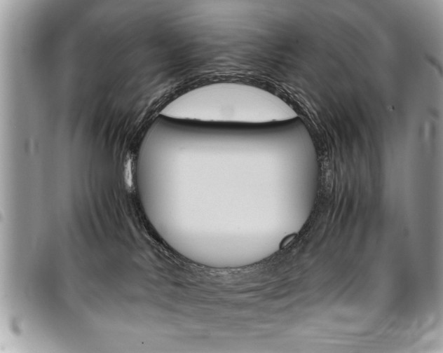 X0000096960042200802080910