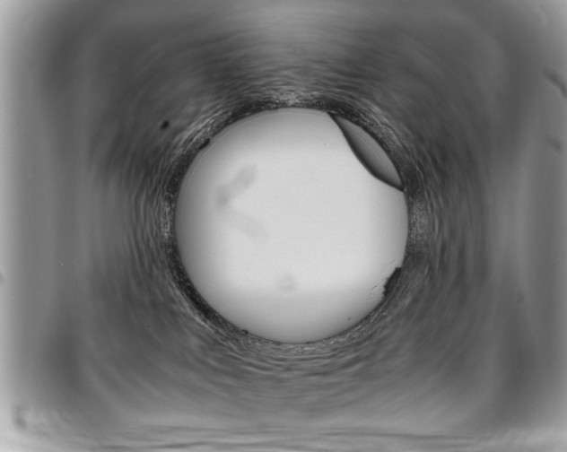 X0000096960043200802080910