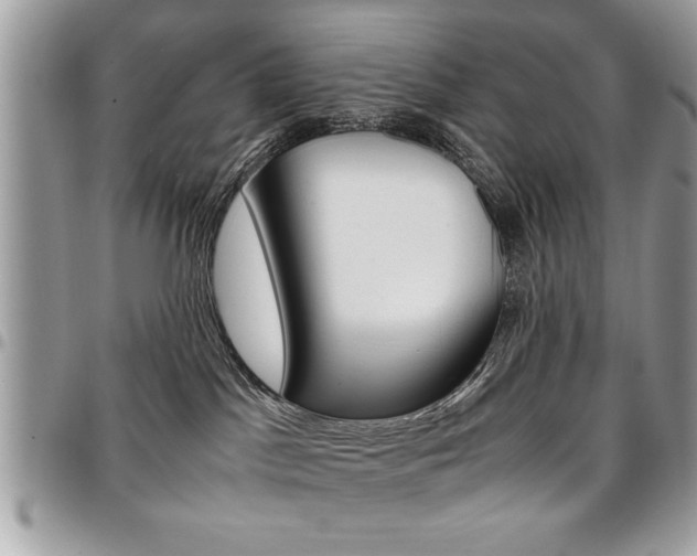 X0000096960045200802080910
