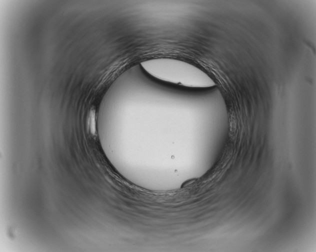 X0000096960046200802080910