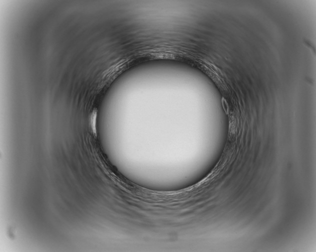 X0000096960047200802080910