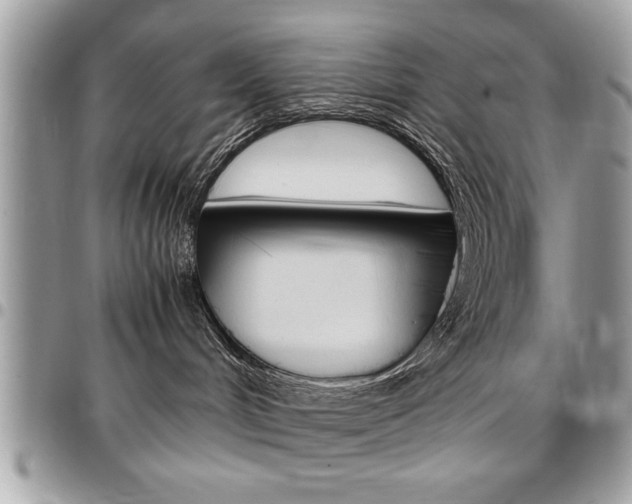 X0000096960048200802080910