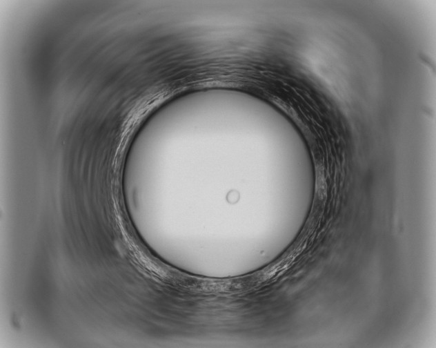 X0000096960049200802080909