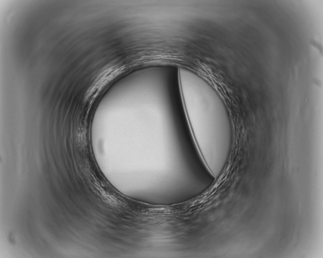 X0000096960050200802080909