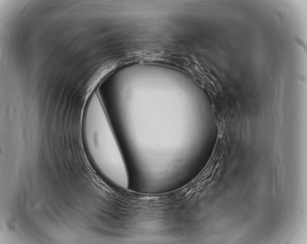 X0000096960052200802080909