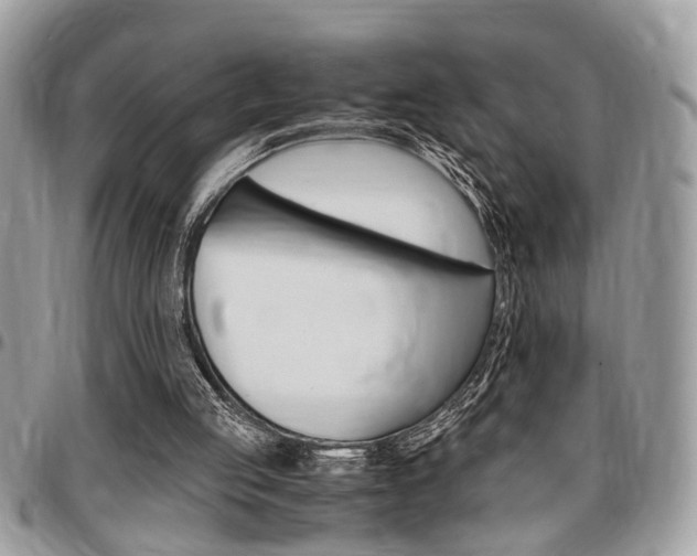 X0000096960053200802080909