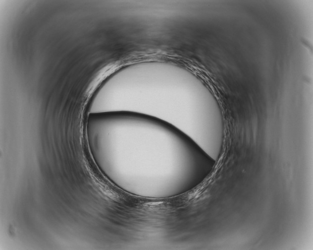 X0000096960054200802080909