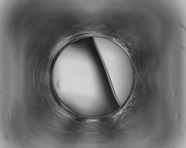 X0000096960055200802080909