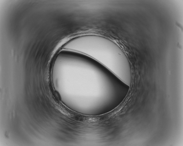 X0000096960056200802080909