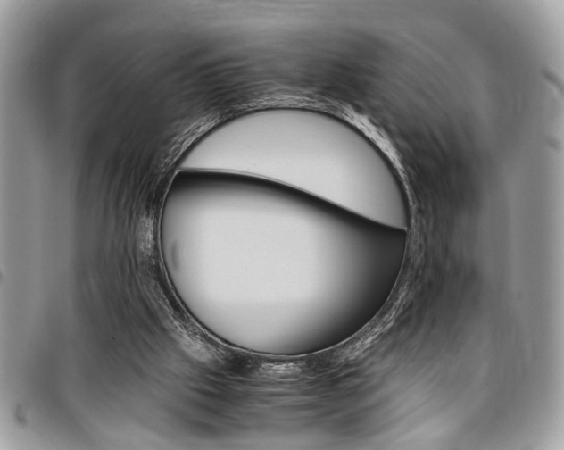 X0000096960057200802080909