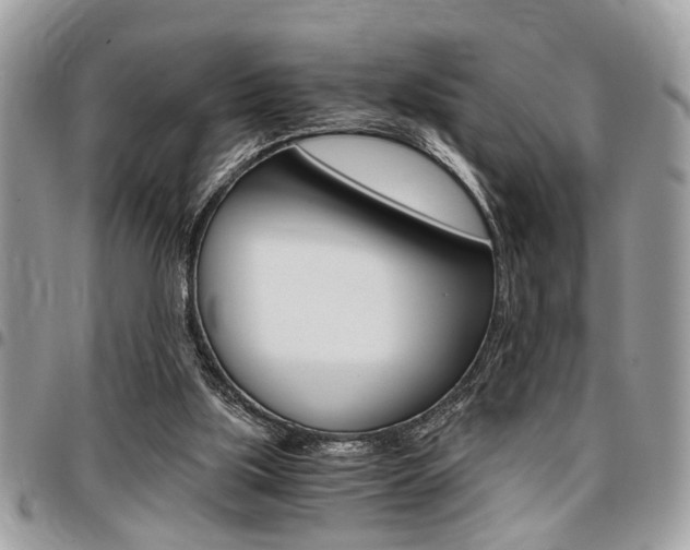 X0000096960059200802080909