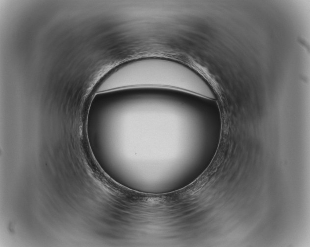 X0000096960060200802080909