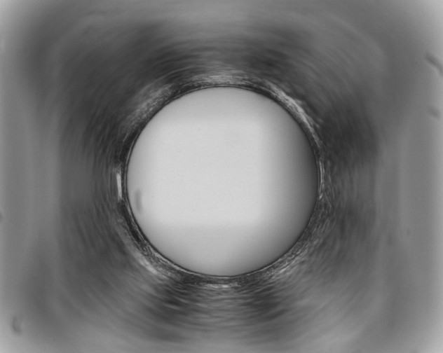 X0000096960061200802080909