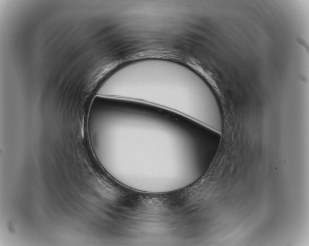 X0000096960062200802080909