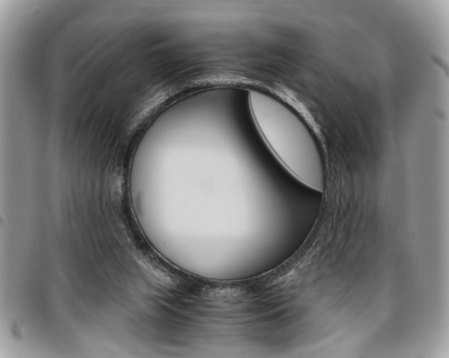 X0000096960063200802080909