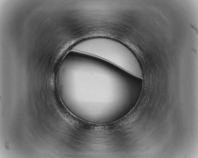 X0000096960064200802080909