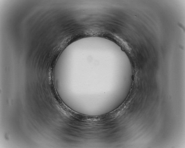 X0000096960065200802080909