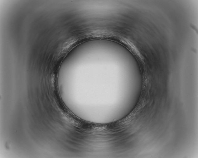 X0000096960066200802080909