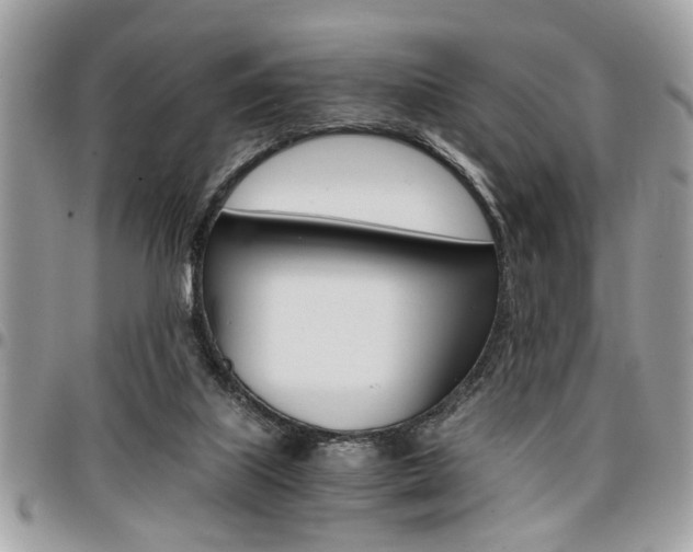 X0000096960067200802080909