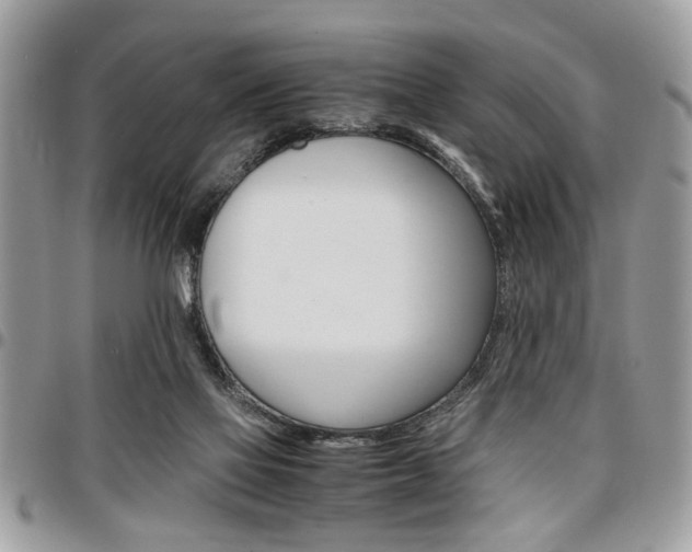 X0000096960069200802080909
