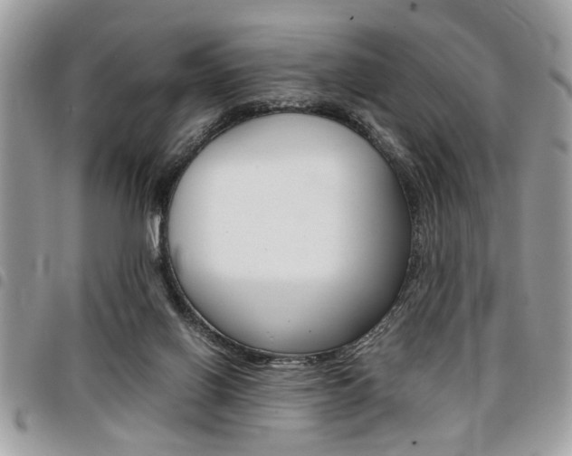X0000096960070200802080909