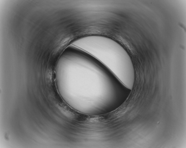 X0000096960072200802080909
