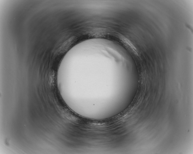 X0000096960073200802080909