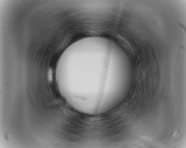 X0000096960075200802080909