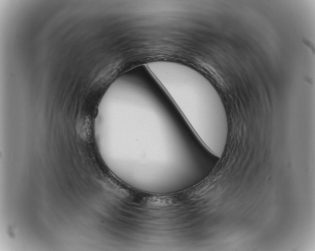X0000096960077200802080909