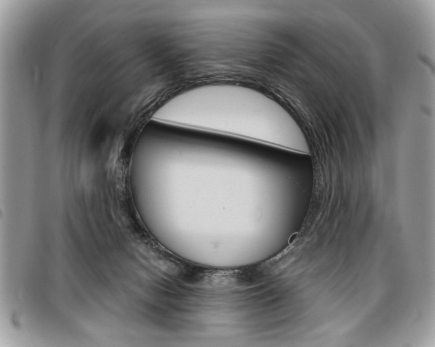 X0000096960078200802080909