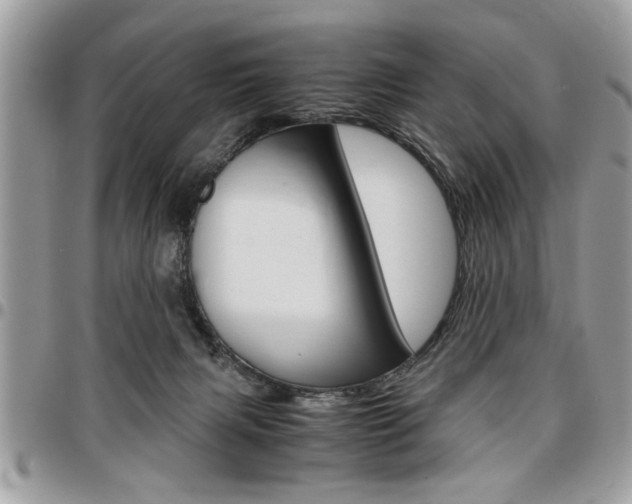 X0000096960079200802080909