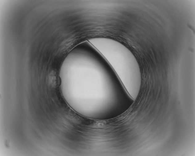 X0000096960080200802080909
