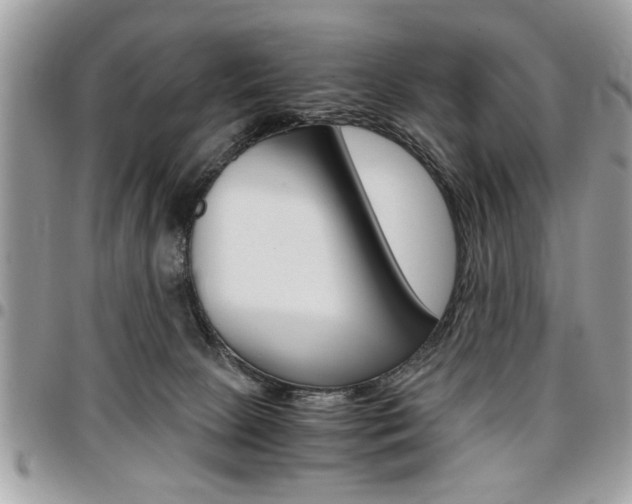 X0000096960081200802080909