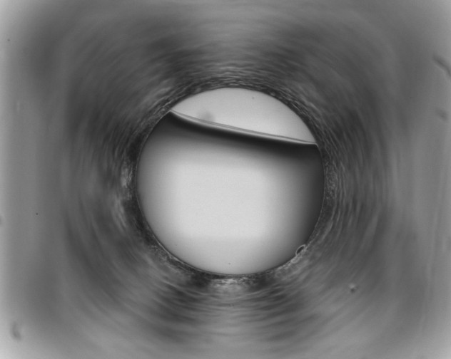 X0000096960082200802080909