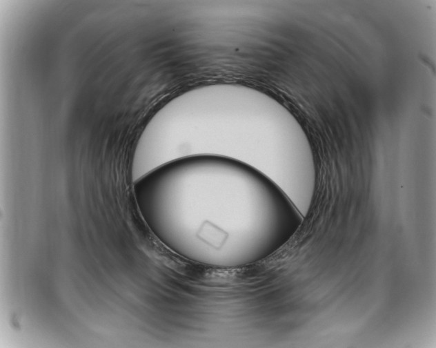 X0000096960084200802080910