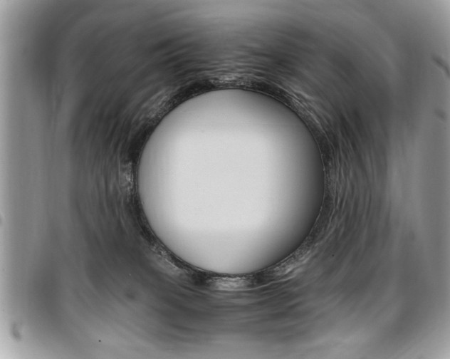 X0000096960085200802080910