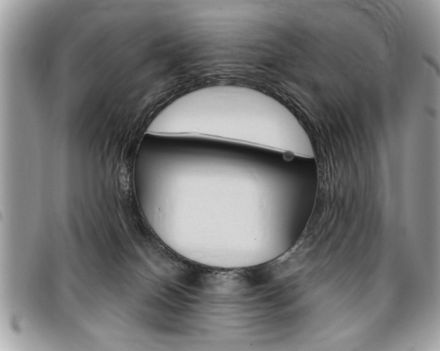 X0000096960086200802080910