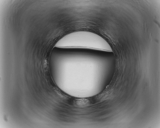 X0000096960087200802080910