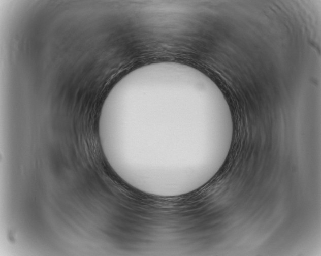 X0000096960088200802080910