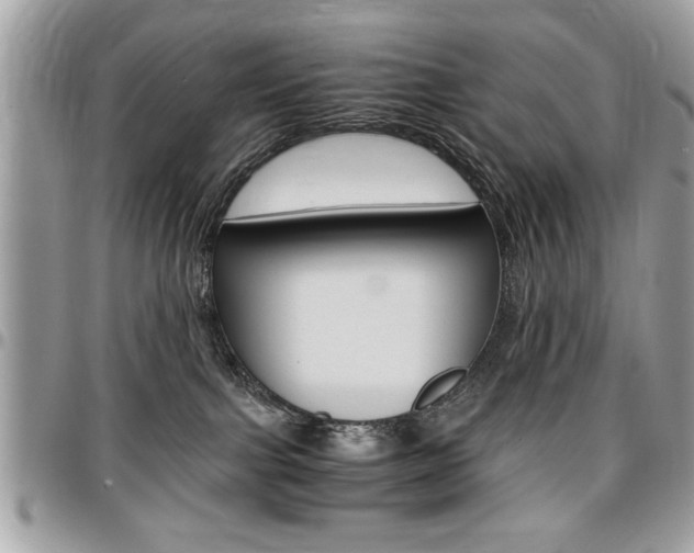X0000096960091200802080910