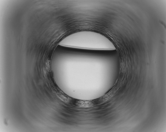 X0000096960093200802080910