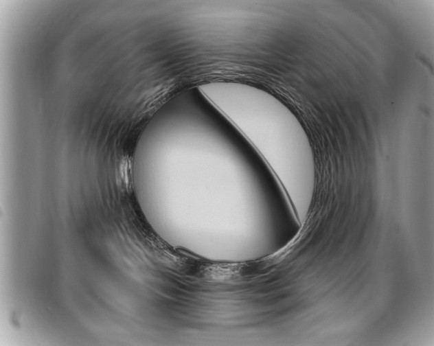 X0000096960094200802080910